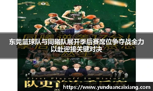 低调看直播
